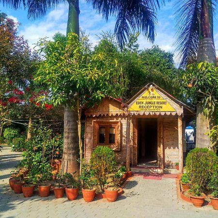 Eden Jungle Resort Sauraha Ngoại thất bức ảnh