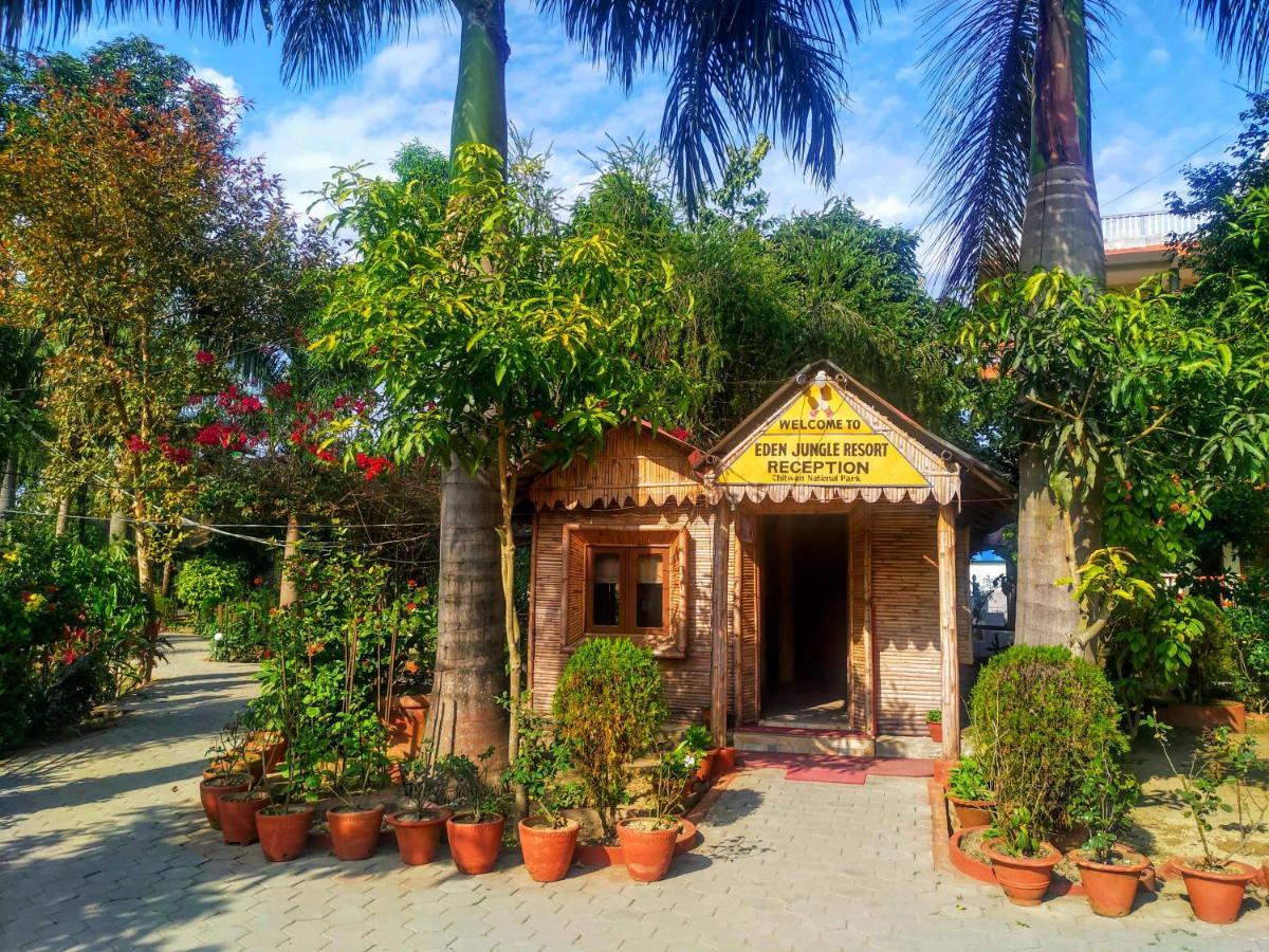 Eden Jungle Resort Sauraha Ngoại thất bức ảnh