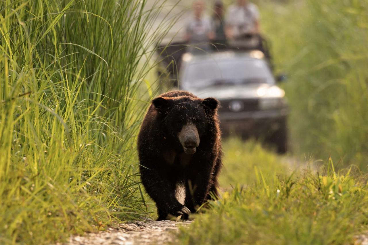 Eden Jungle Resort Sauraha Ngoại thất bức ảnh