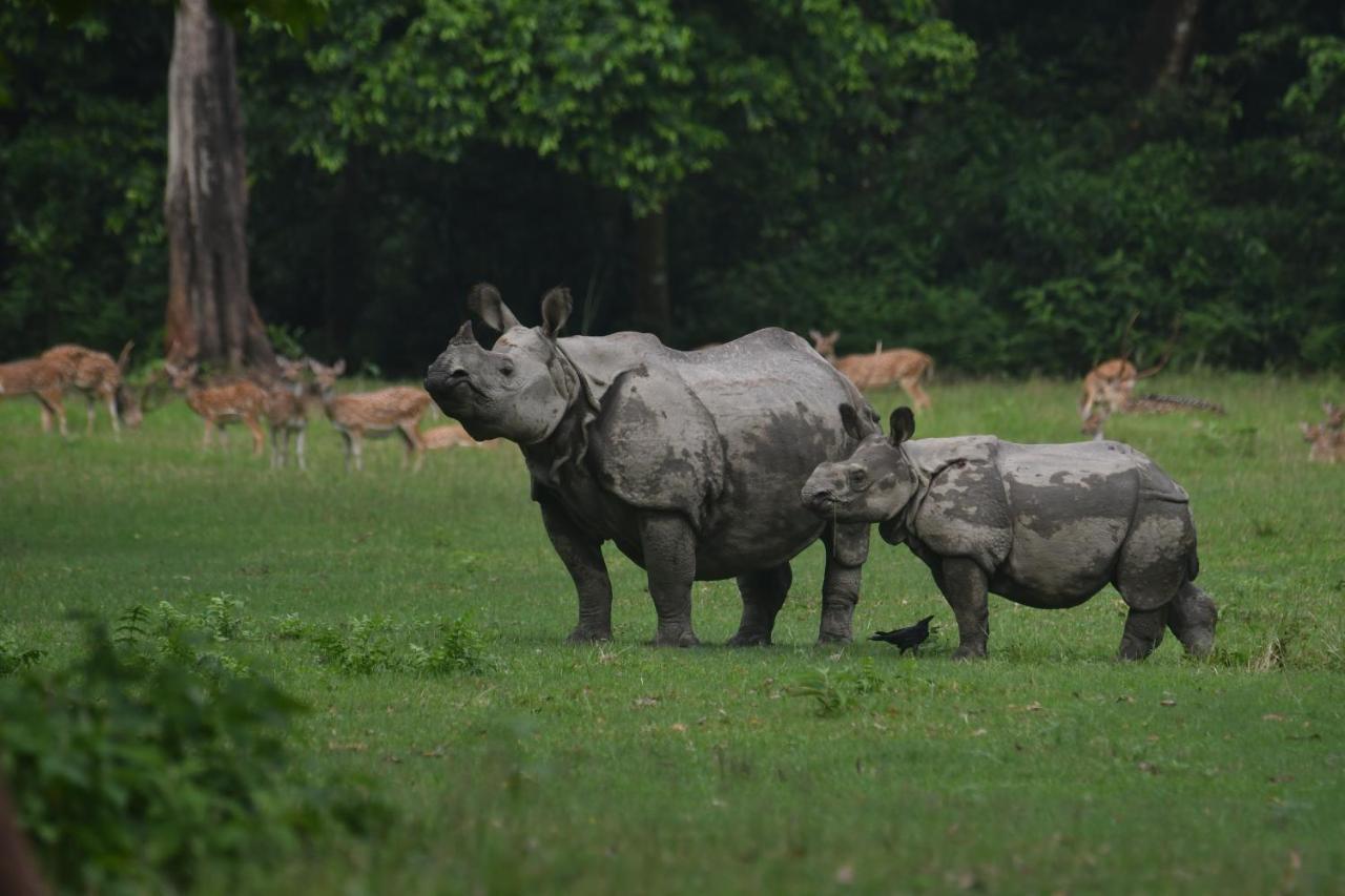 Eden Jungle Resort Sauraha Ngoại thất bức ảnh
