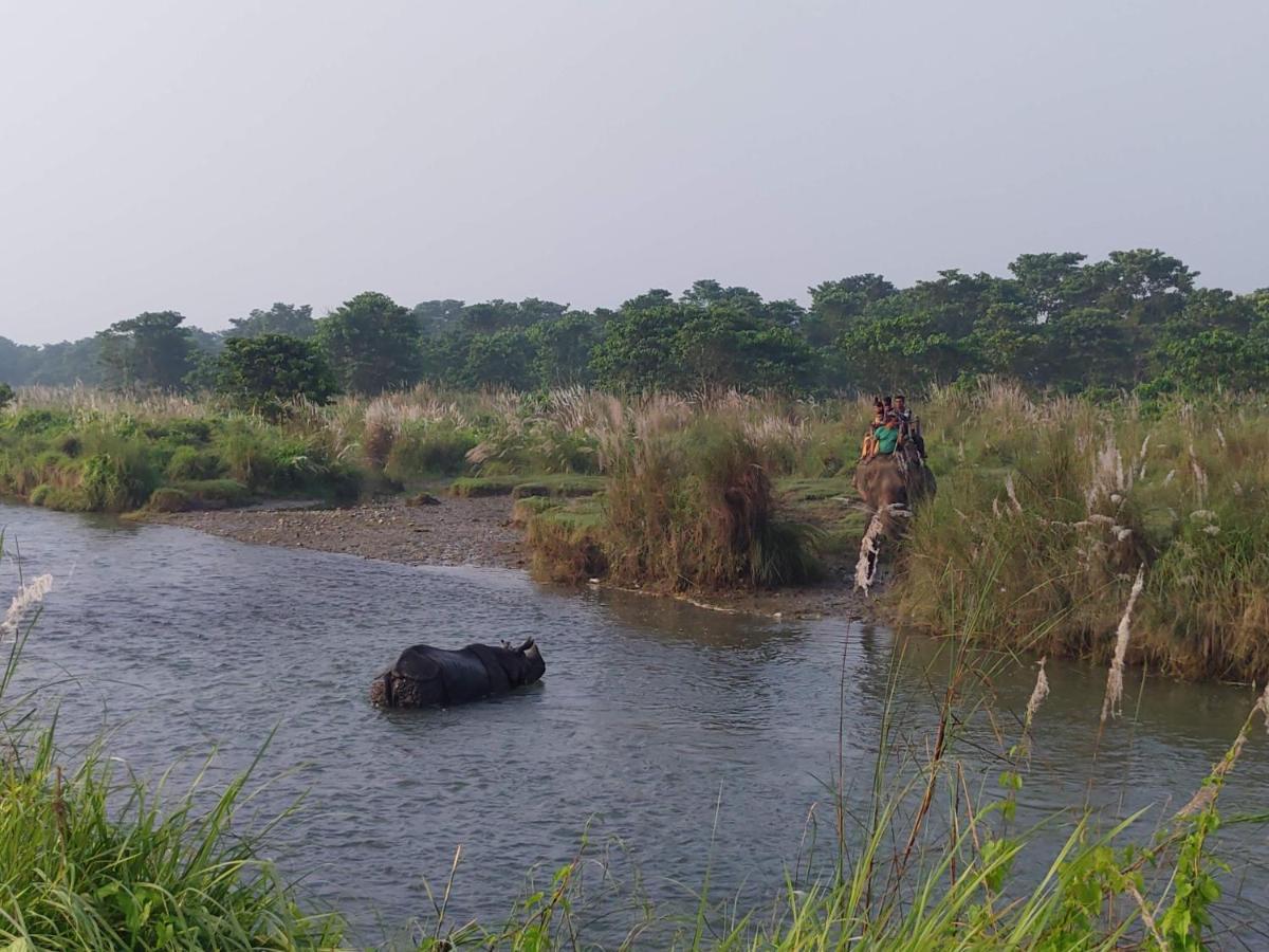 Eden Jungle Resort Sauraha Ngoại thất bức ảnh