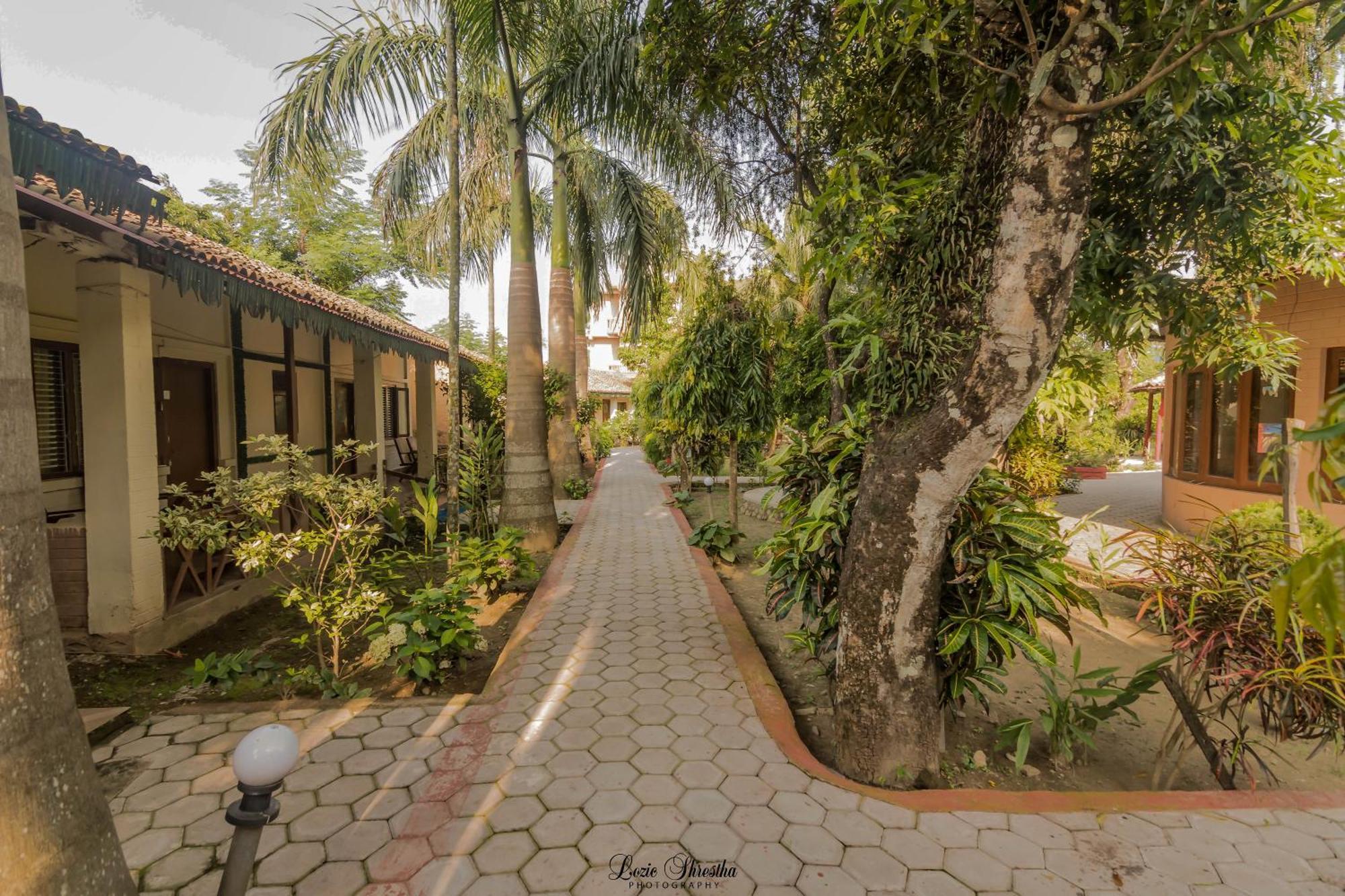 Eden Jungle Resort Sauraha Ngoại thất bức ảnh