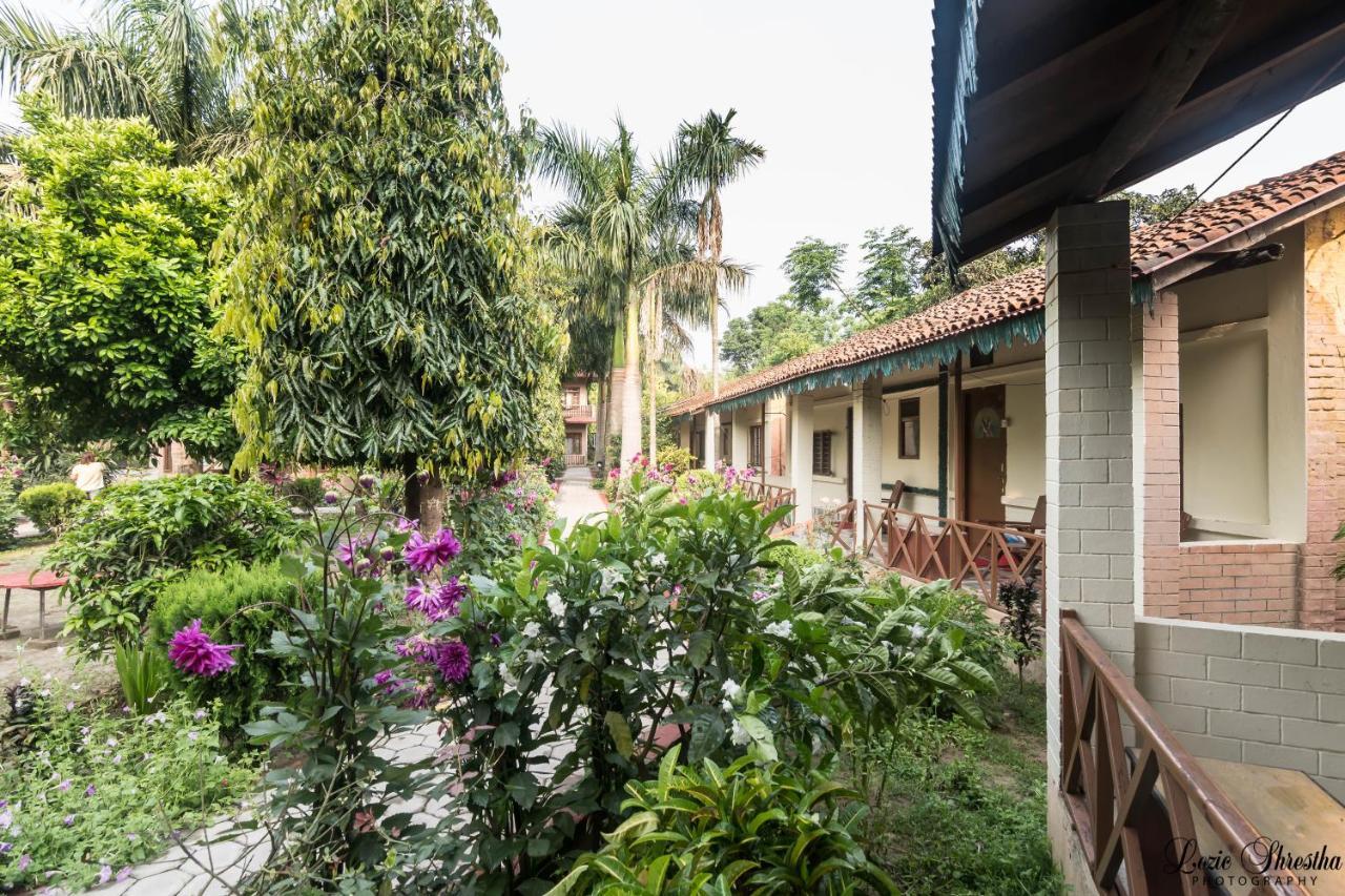 Eden Jungle Resort Sauraha Ngoại thất bức ảnh